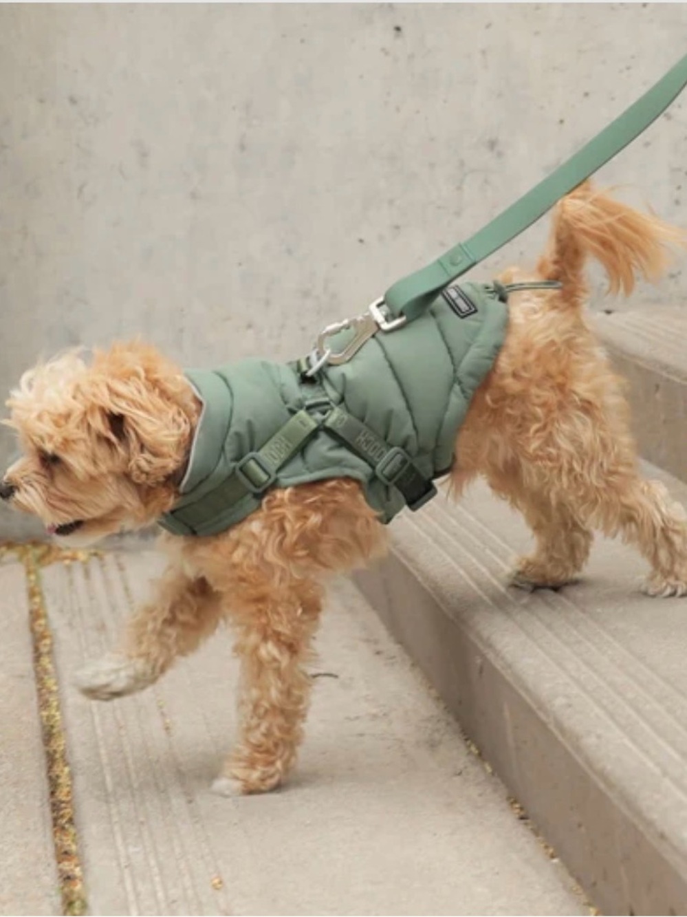 Canada Pooch Dog Harness Puffer - Picture 5 of 8